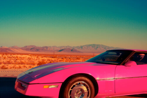 MM 2009 JOSHUA TREE 2366